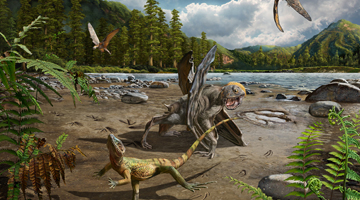 Footprint fossils suggest lizards have been running on two feet for 110 million years