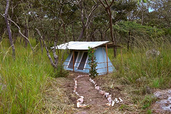 Camp at Ugalla