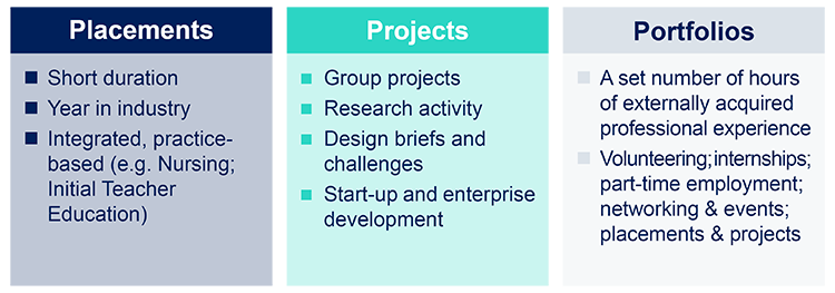 experiential learning approaches - placements, projects and portfolios