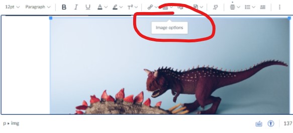 Location of Image options for editing images