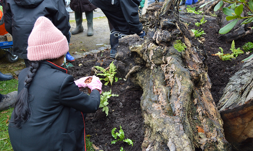 Children setting up fernery at Sefton Park, Liverpool