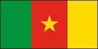 Flag of Cameroon