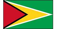 Flag of Guyana